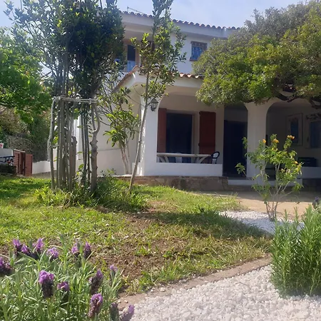 Lentischio Tanaunella