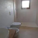 Lentischio