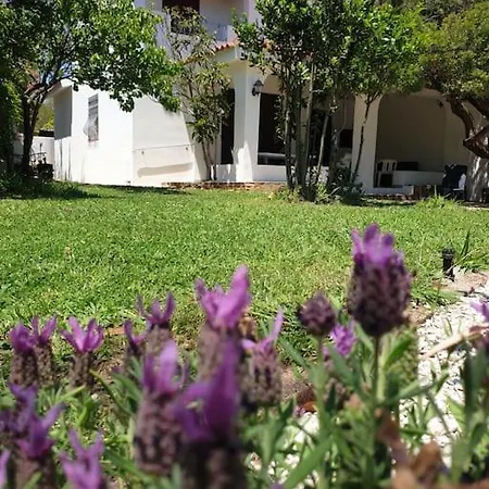 Lentischio Holiday home