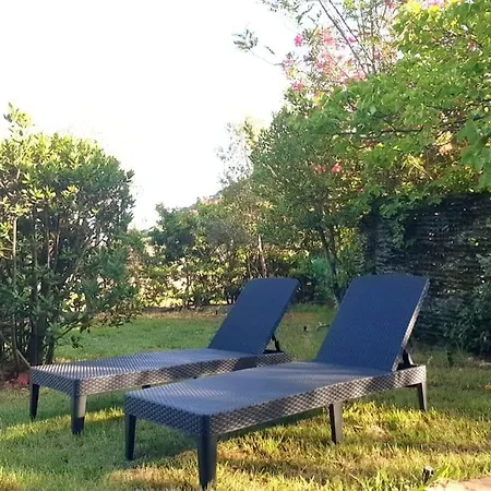 Lentischio * Tanaunella